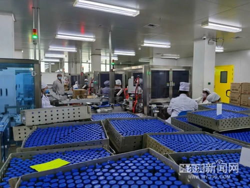 保供抗疫藥品，哈藥復工防護用品生產(chǎn)迎挑戰(zhàn)